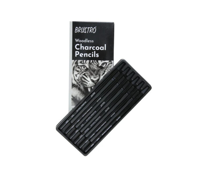 Brustro Woodless Charcoal Pencils Set of 6