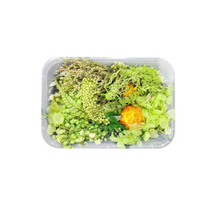 Pablo Art Dried Flowers For Resin Art