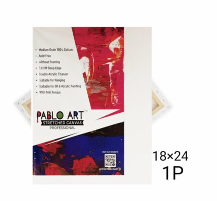 18x24 Stretched Canvas