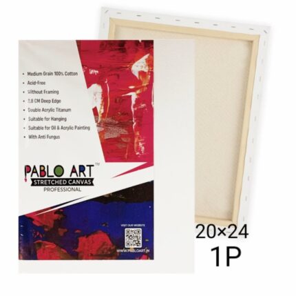 20x24 stretched canvas