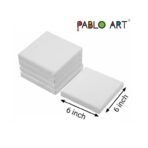 Mini Canvas for Acrylic