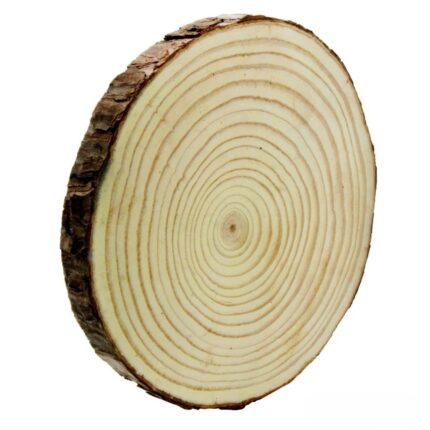 Wooden disk for painting