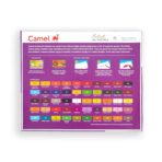 Camel Artist Oil Pastels 25 & 50 Shades - Image 4