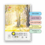 Anupam 25% Cotton Water Colour Drawing Paper (Loose Sheets) – 250GSM - Image 3