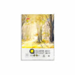 Anupam 25% Cotton Water Colour Drawing Paper (Loose Sheets) – 250GSM - Image 2