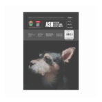Anupam Ash Black Toned Cartridge Paper Loose Sheets 180 GSM