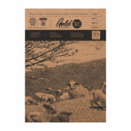 Anupam Drawing Paper Gold Edition Sketching Paper - 300 GSM (Loose Sheet )