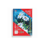 Anupam Handmade Watercolour Paper Loose Sheets 250gsm Cold Pressed - Image 2