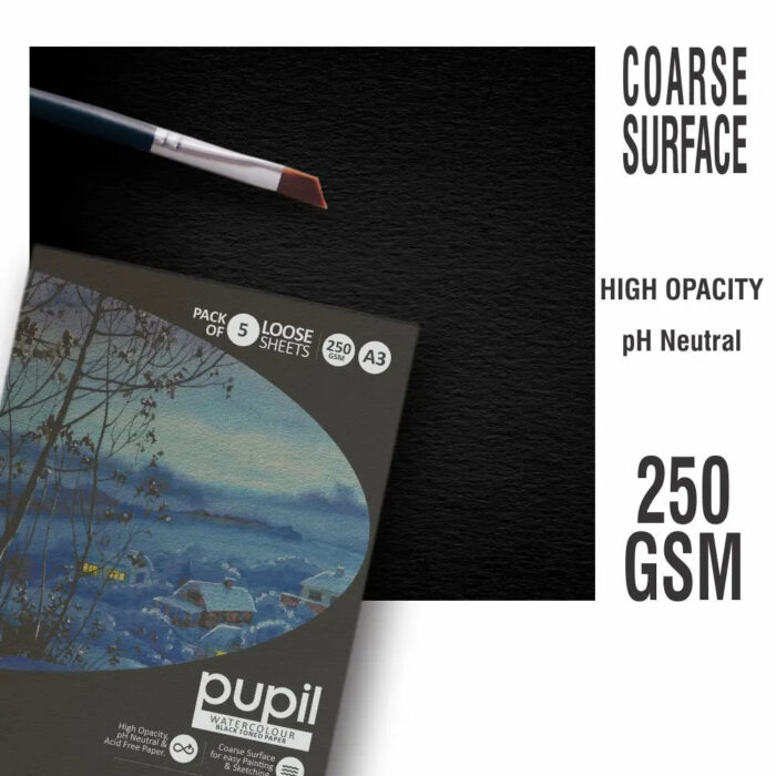 Anupam Pupil Watercolour Black Toned Loose Sheets - 250 GSM - Image 4
