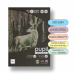Anupam Pupil Watercolour Black Toned Loose Sheets - 250 GSM - Image 5