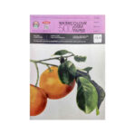 Anupam Watercolour Paper 500 GSM Cold Pressed (Loose Sheets)