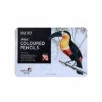 Brustro Artists Coloured Pencils Set