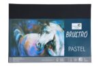 Brustro Pastel Assorted-Bright 160 GSM a4