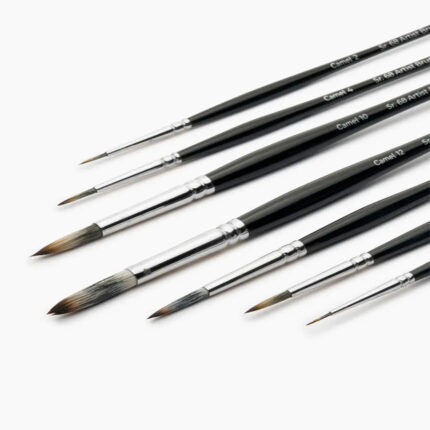 Camel Artist Brushes Round 68 Series Set
