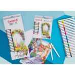 Camel Brush Pen Set 12 &24