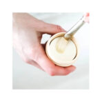 Generals the Masters Brush Cleaner