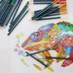 Mont Marte Premium Colour Pencils 72pc - Image 2
