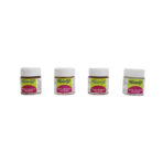Pidilite Fevicryl Pearl Metallic colours set of 4