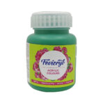 Pidilite Fevicryl Acrylic Colours 100ml - Image 15