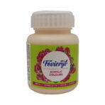 Pidilite Fevicryl Acrylic Colours 100ml - Image 29