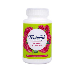 Pidilite Fevicryl White Acrylic Paint 500ml