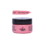 iCraft Chalk Paint- 50ML (Loose Color) - Image 59