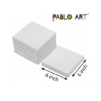 Mini Canvas for Acrylic