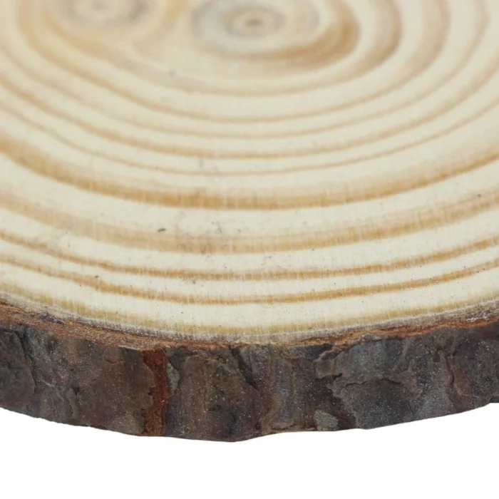 Wooden Slice Large size | Wooden disk for painting | Wooden plate for DIY - Image 3