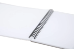 Brustro Artists Drawing & Sketching Wiro Pad A4-160GSM (30 Sheets)