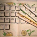 Scrikss | Smoothie Gel Pen | 0.7mm | Box Of 8