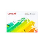 Camel Artist Soft Pastels Set 20| 36 | 50