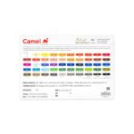 Camel Artist Soft Pastels Set 20| 36 | 50