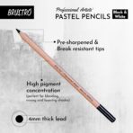 Brustro Professional Artists’ Pastel Pencils Set of 6 | Black & White Pastel Pencils for Drawing & Shading