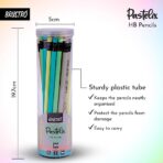 Brustro Pastelix HB Pencils