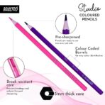 Brustro Studio Colour Pencil Set 24 in a Metal Tube