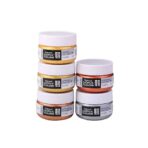 Brustro Heavy Body Acrylic Paint Set Metallic Shades 50ml Pack of 5