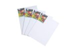 Brustro 100% Cotton Canvas Board Medium Grain 10"X14" pack of 4